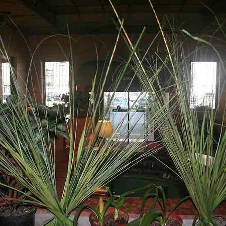 Albert Hotel Hotel Milano