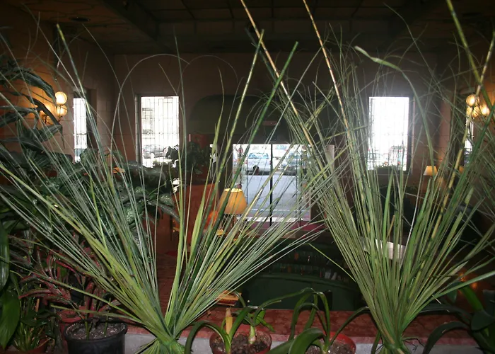 Albert Hotel